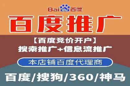 SEM代运营服务公司成功案例解析